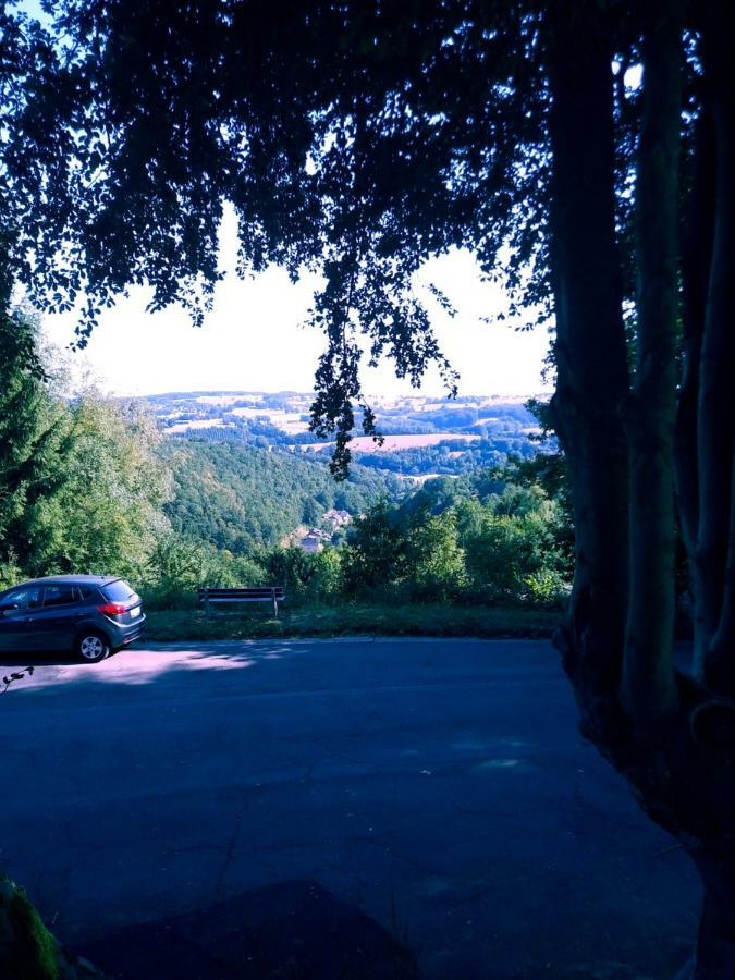 Au Havre Du Circuit Villa Malmedy Eksteriør billede